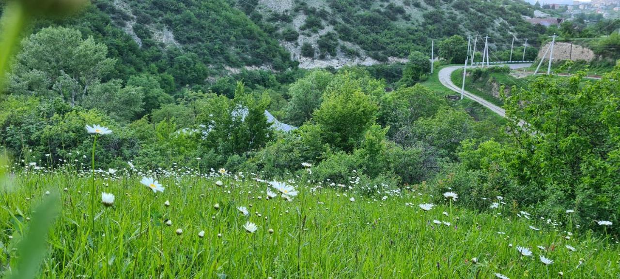 "Budur" Guest House Gandzakar Exterior foto